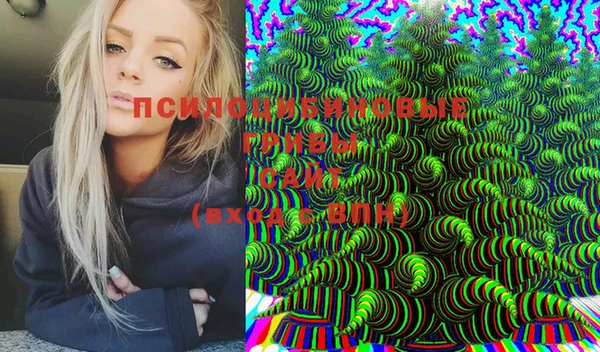 PSILOCYBIN Алексеевка